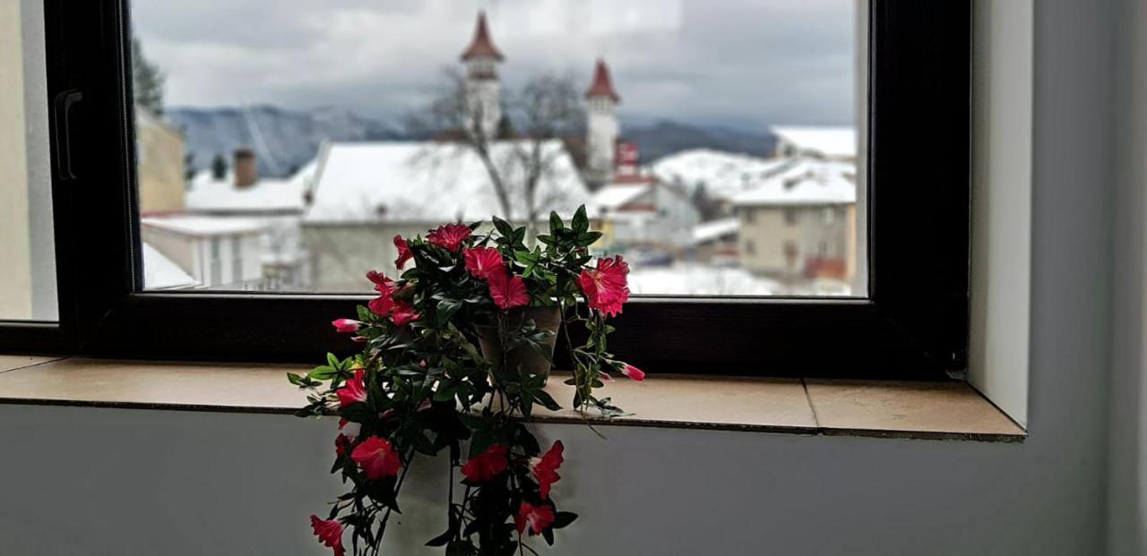 Vila William'S Brasov Ngoại thất bức ảnh